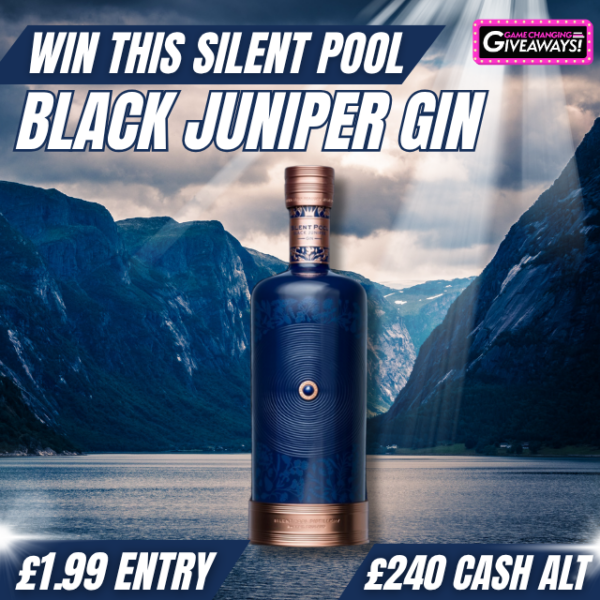Silent Pool Black Juniper Gin or £240 Cash Alt